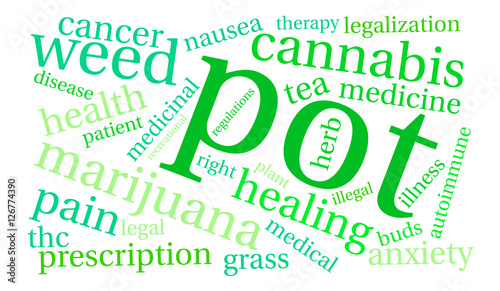 Pot Word Cloud on a white background. 