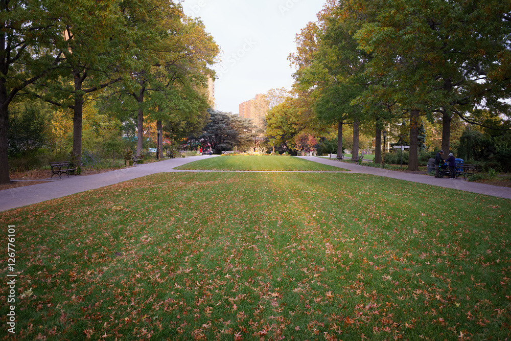 Fototapeta premium Autumn sunset at Botanical Garden in Queens, New York City