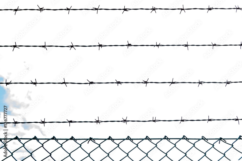 Backlit barbed wire. Backlit barbed wire.