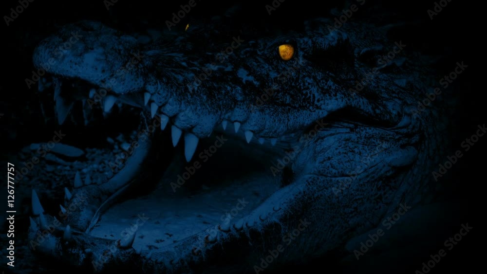 Crocodile With Glowing Eyes Opens Mouth Crocodile With Glowing Eyes Opens Mouth