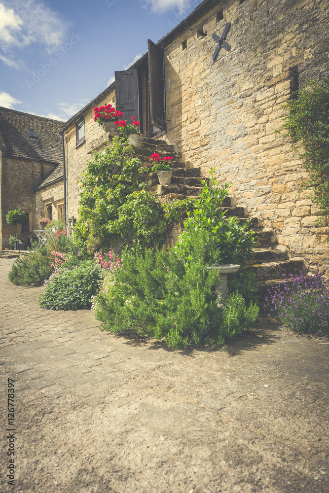 Fototapeta premium Colourful Stairway