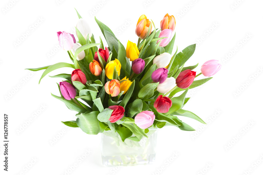 Colourful Tulips in a vase Colourful Tulips in a vase