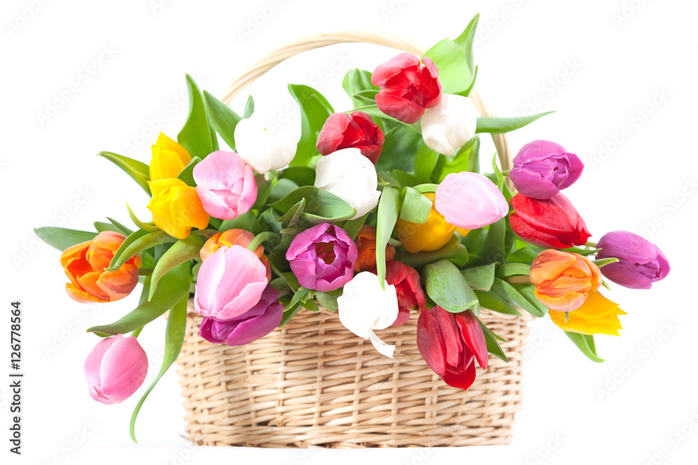 Basket full with tulips