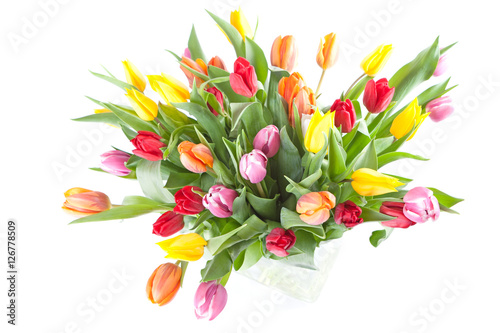 Colourful Tulips in a vase