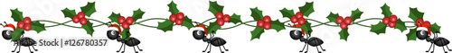 Ants on the march to deliver Christmas holly branch
