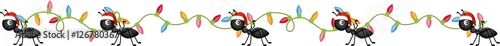 Ants on the march to deliver Christmas Lights
