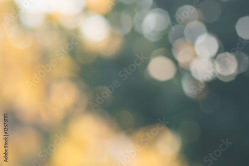 Abstract photo; blurred tree background in autumn park with beautiful bokeh