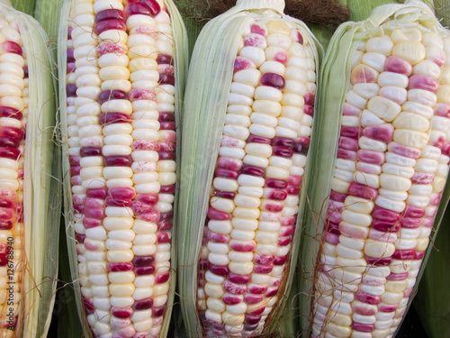 corn 