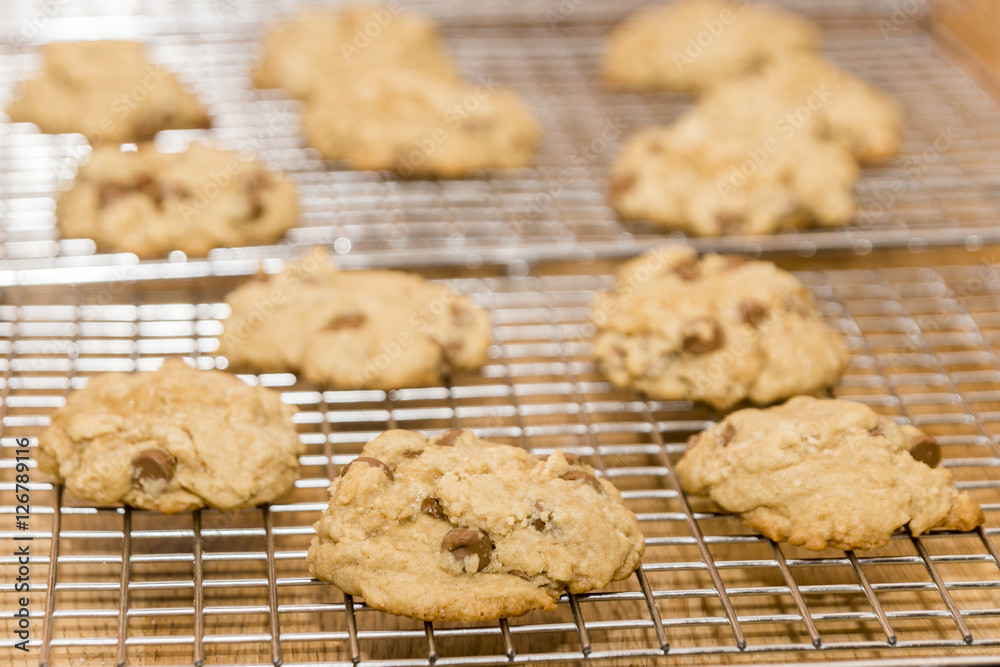 Fresh baked soft chocolate chip cookies on a cooling rack Fresh baked soft chocolate chip cookies on a cooling rack