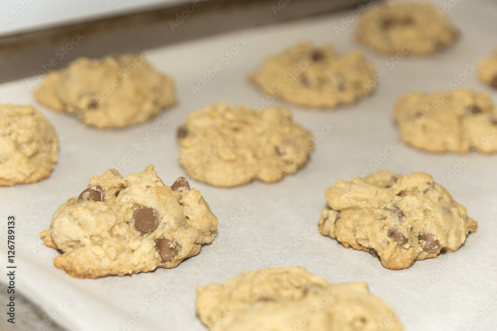 Fresh baked chocolate chip cookies fresh out of the oven on a ba Fresh baked chocolate chip cookies fresh out of the oven on a ba