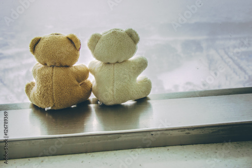 Lovely couple bear sit together near window photo