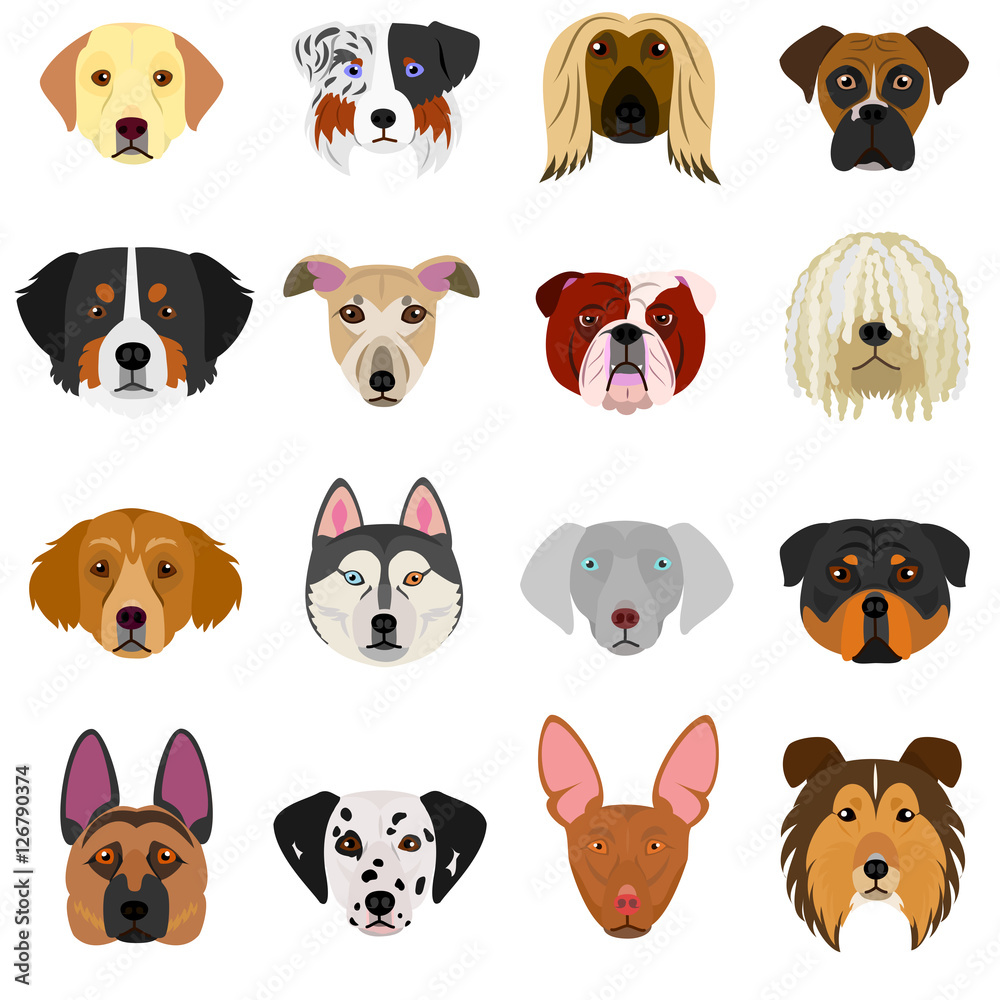Obraz premium dog faces set on white background
