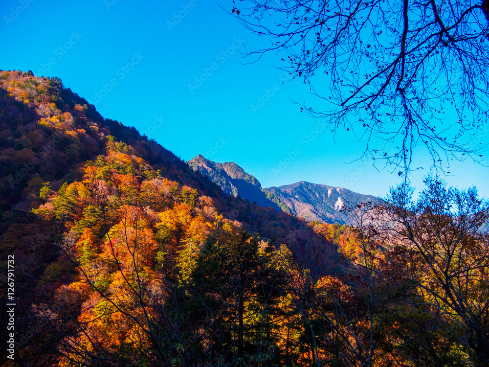 秋の山々
