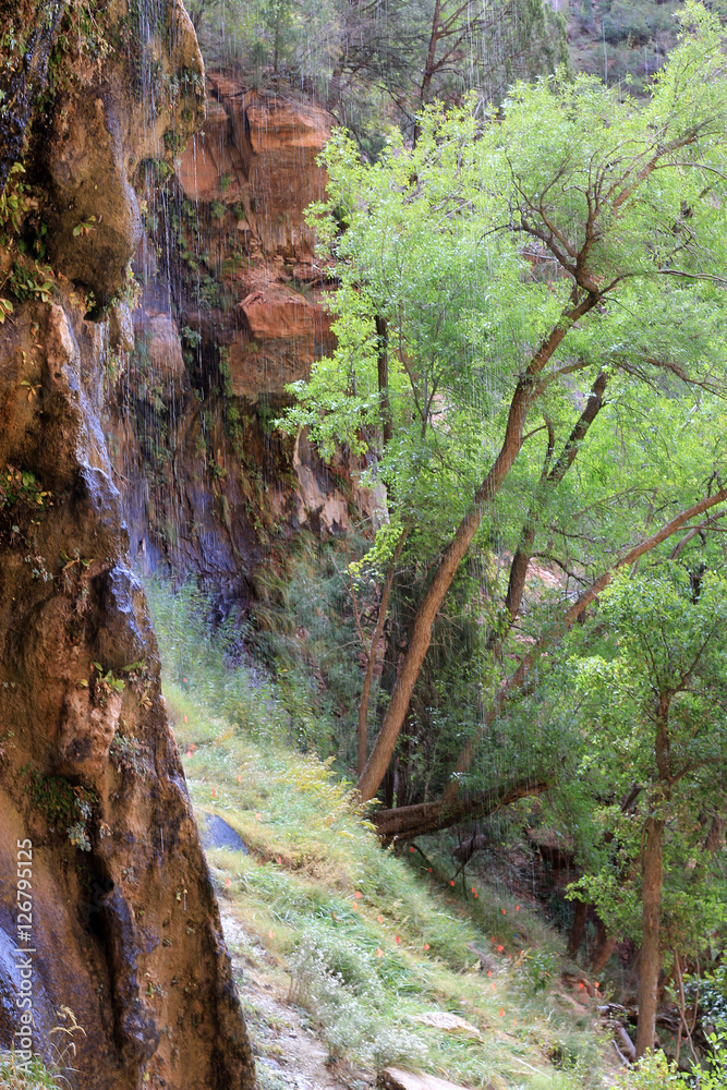 Waterfall in Zion canyon national park in USA