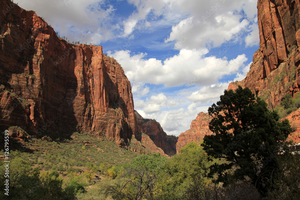 Zion canyon national park in USA
