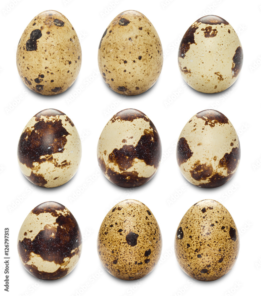 Obraz premium Quail eggs isolated on white.