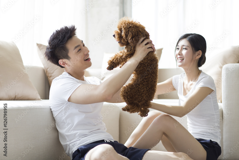 Young couple playing with a pet poodle at home Young couple playing with a pet poodle at home