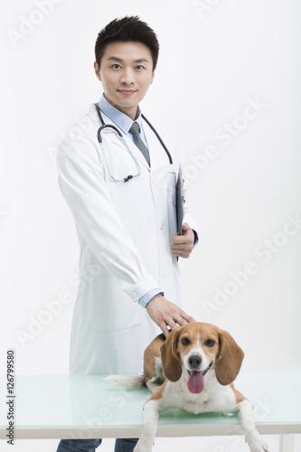 Fototapeta Naklejka Na Ścianę i Meble -  Veterinarian examining a cute dog
