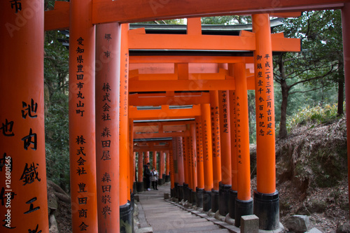 Torii is traditional Japanese Gates Fushimi Shrine