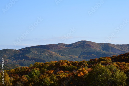 北海道の紅葉