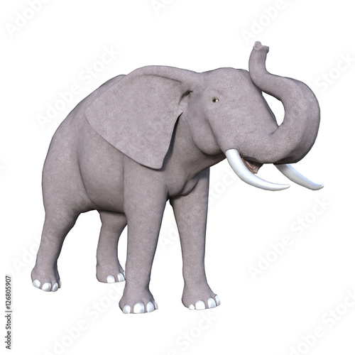 3D Rendering Elephant on White