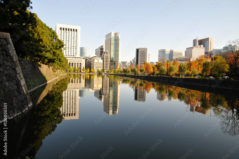 Fototapeta premium 水辺