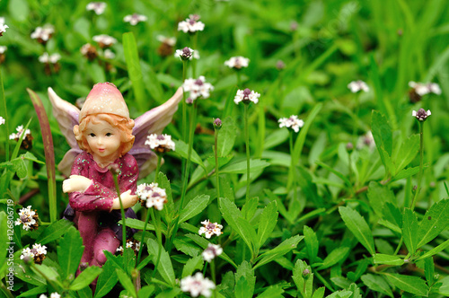 A fairy sitting in a field of small white flowers