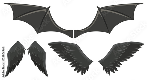 Three set of black wings