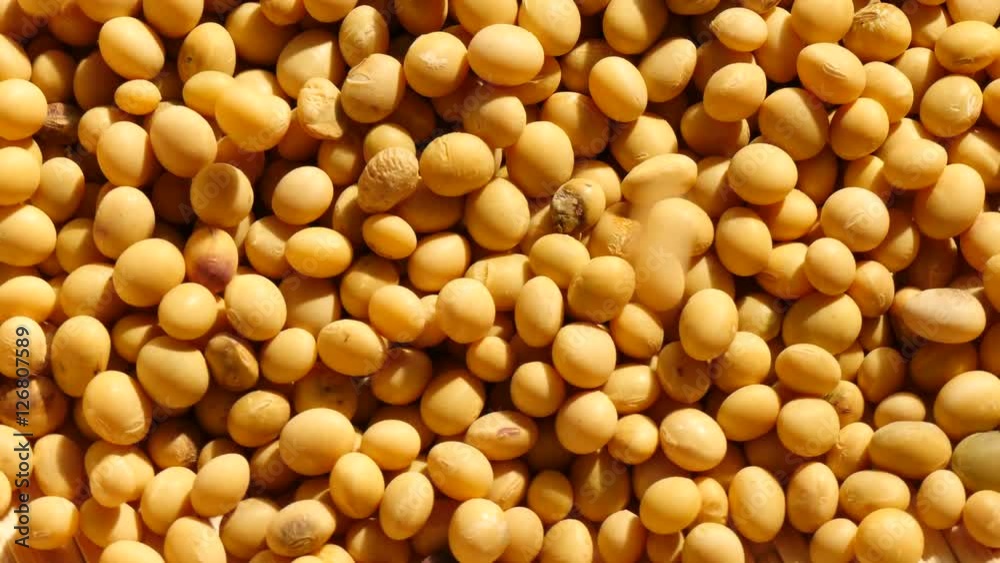 Falling mass of soybeans on rotate
Falling mass of soybeans on rotate