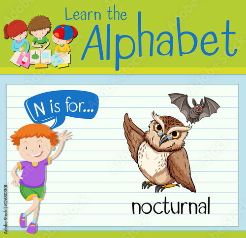 Flashcard letter N is for nocturnal