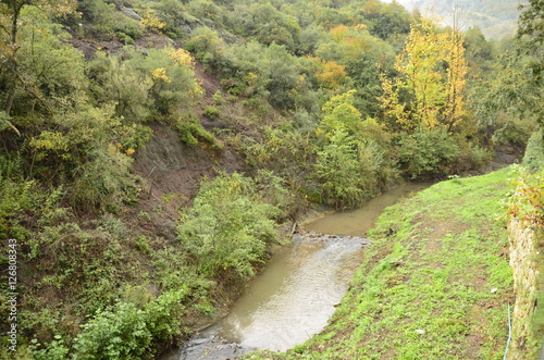 Sonbahar Renkleri photo