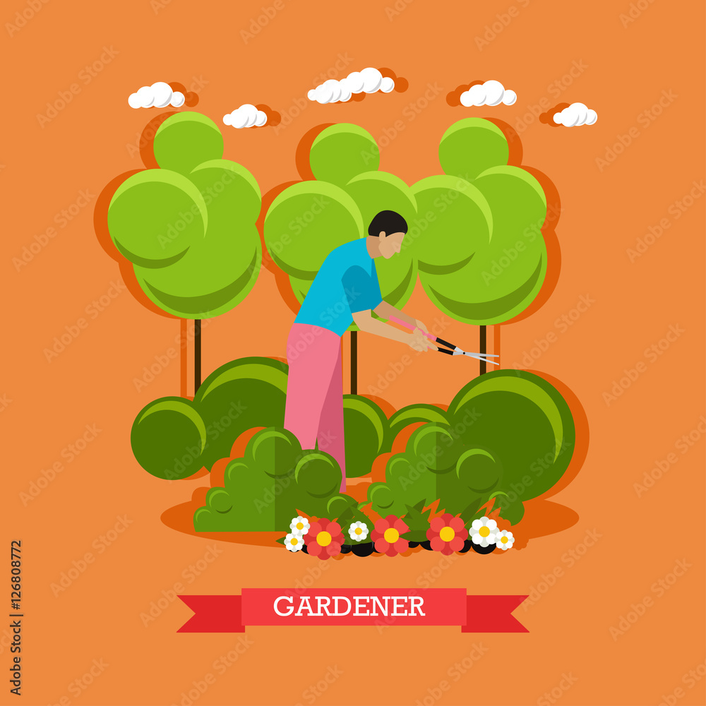 Obraz premium Gardener trimming hedges, flat design