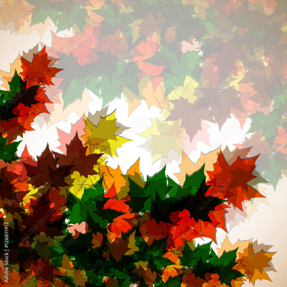 Fototapeta premium Autumn background of maple leaves. Colofrul image