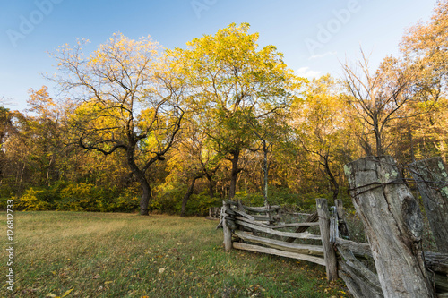 a wooden fence separating a field and the forest on Skyline Drive in Virginia in the fall