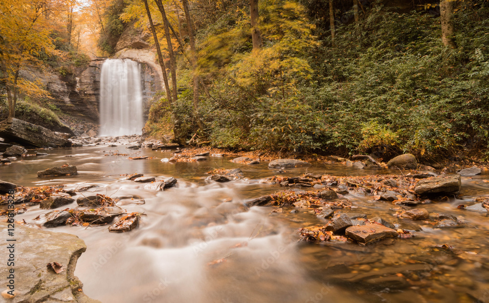 Fototapeta premium Looking Glass waterfall in the Appalachians of western North Carolina near the Blue Ridge Parkway