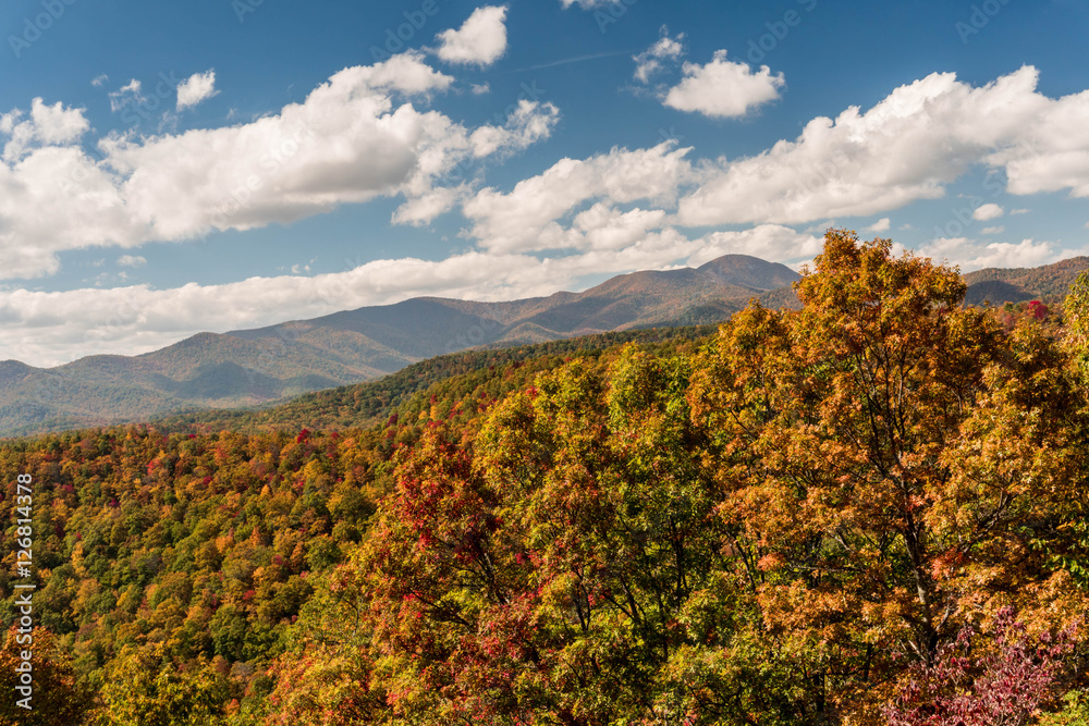 the Blue Ridge Mountains in western North Carolina in the fall