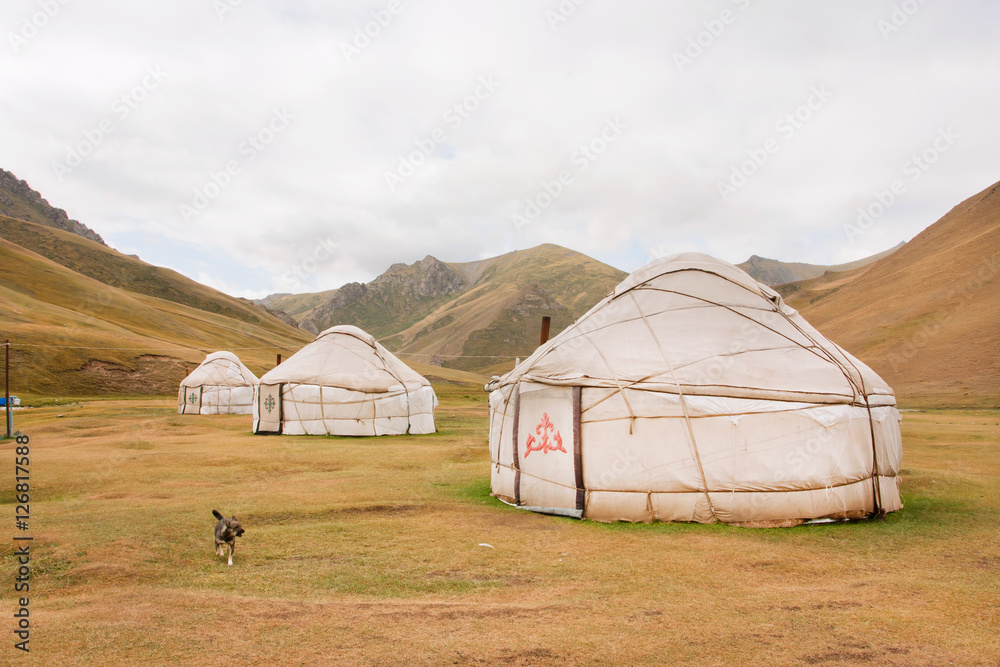 Tents Yurts - homes of the local nomadic asian people in a dry grass mountain valley. Kyrgyzstan