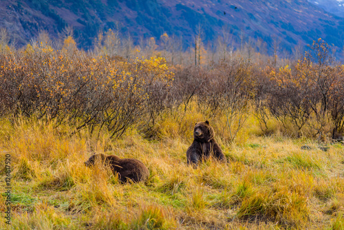 Alaska