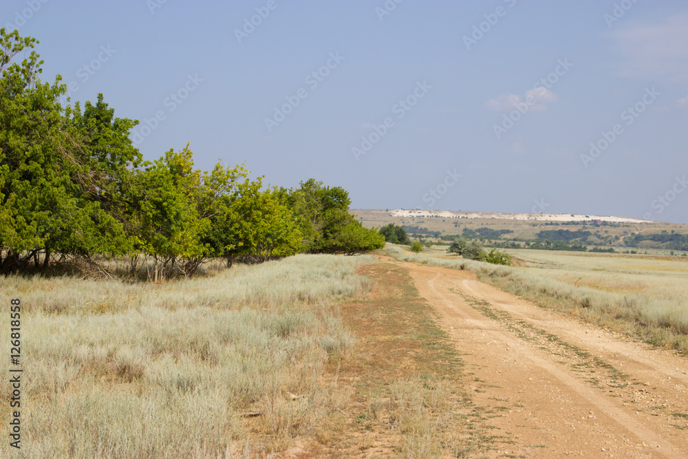 Fototapeta premium The road in the desert in the summer.