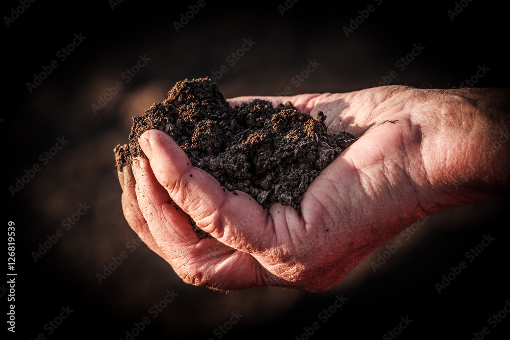 A handful of soil.Soil in old female hand A handful of soil.Soil in old female hand