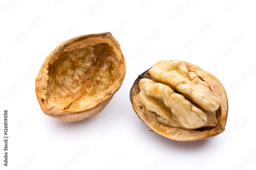 Walnut and walnut kernel isolated on the white background. Walnut and walnut kernel isolated on the white background.