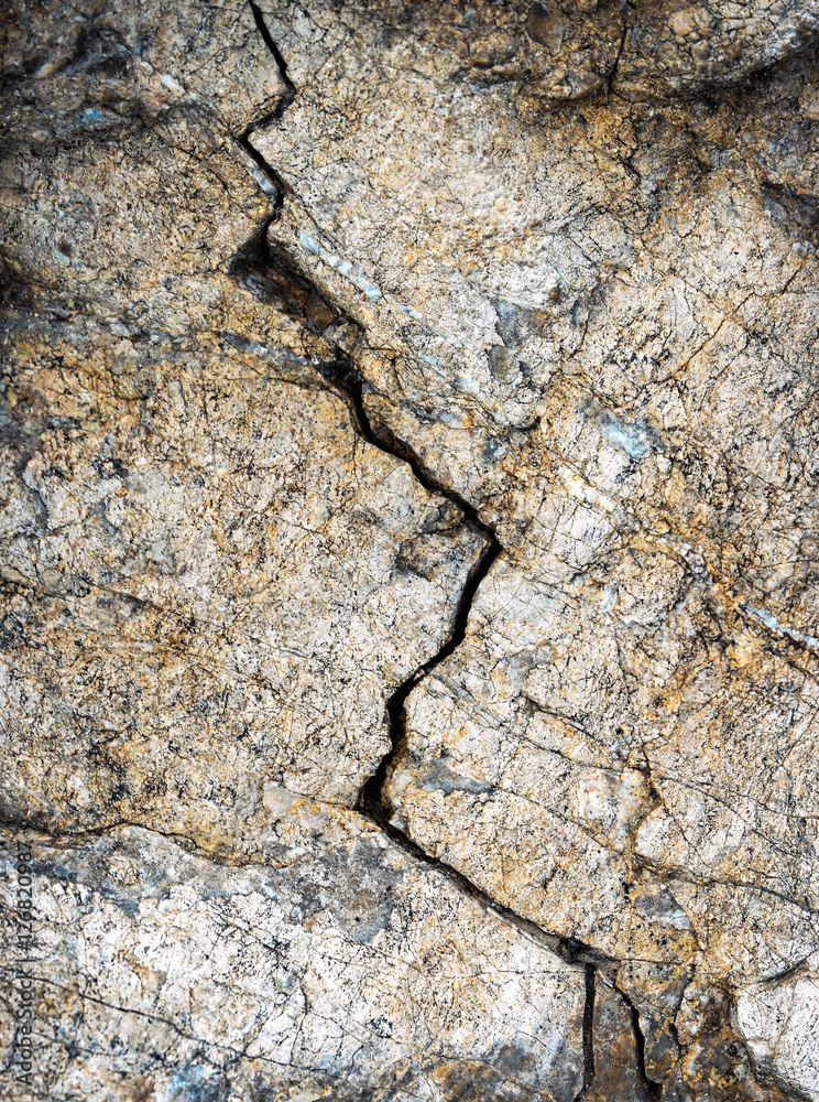 fissure in the limestone fissure in the limestone