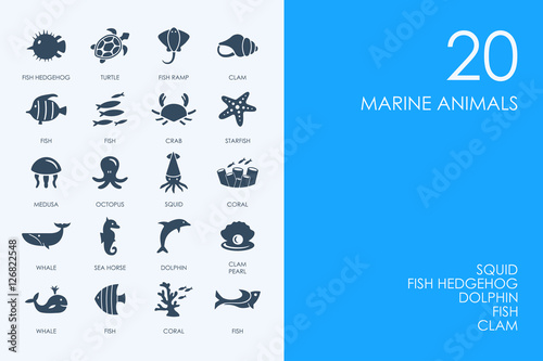 Set of BLUE HAMSTER Library marine animals icons © palau83