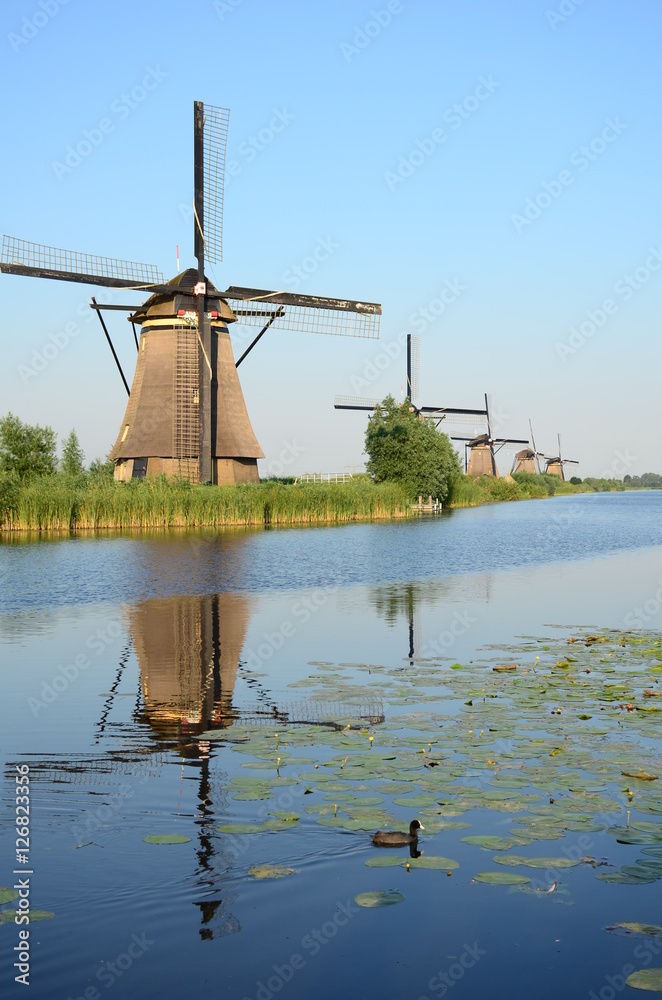 Traditional dutch windmills in the famous place of Kinderdijk, UNESCO world heritage site. Netherlands, Europe.