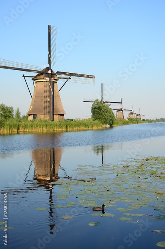 Traditional dutch windmills in the famous place of Kinderdijk, UNESCO world heritage site. Netherlands, Europe.