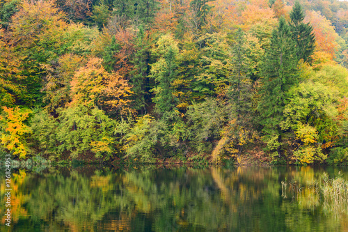 Autum forest lake Kozjak in Plitvice National Park