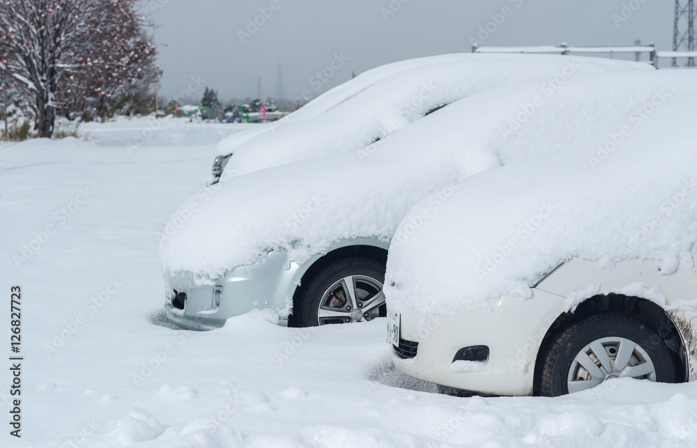 雪を被った車