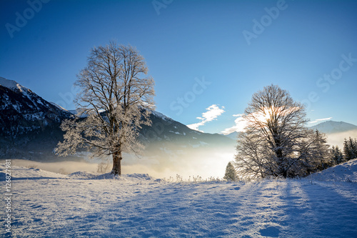 Traumhafte Winterlandschaft mit verschneiten Bäumen in den österreichischen Alpen bei Salzburg