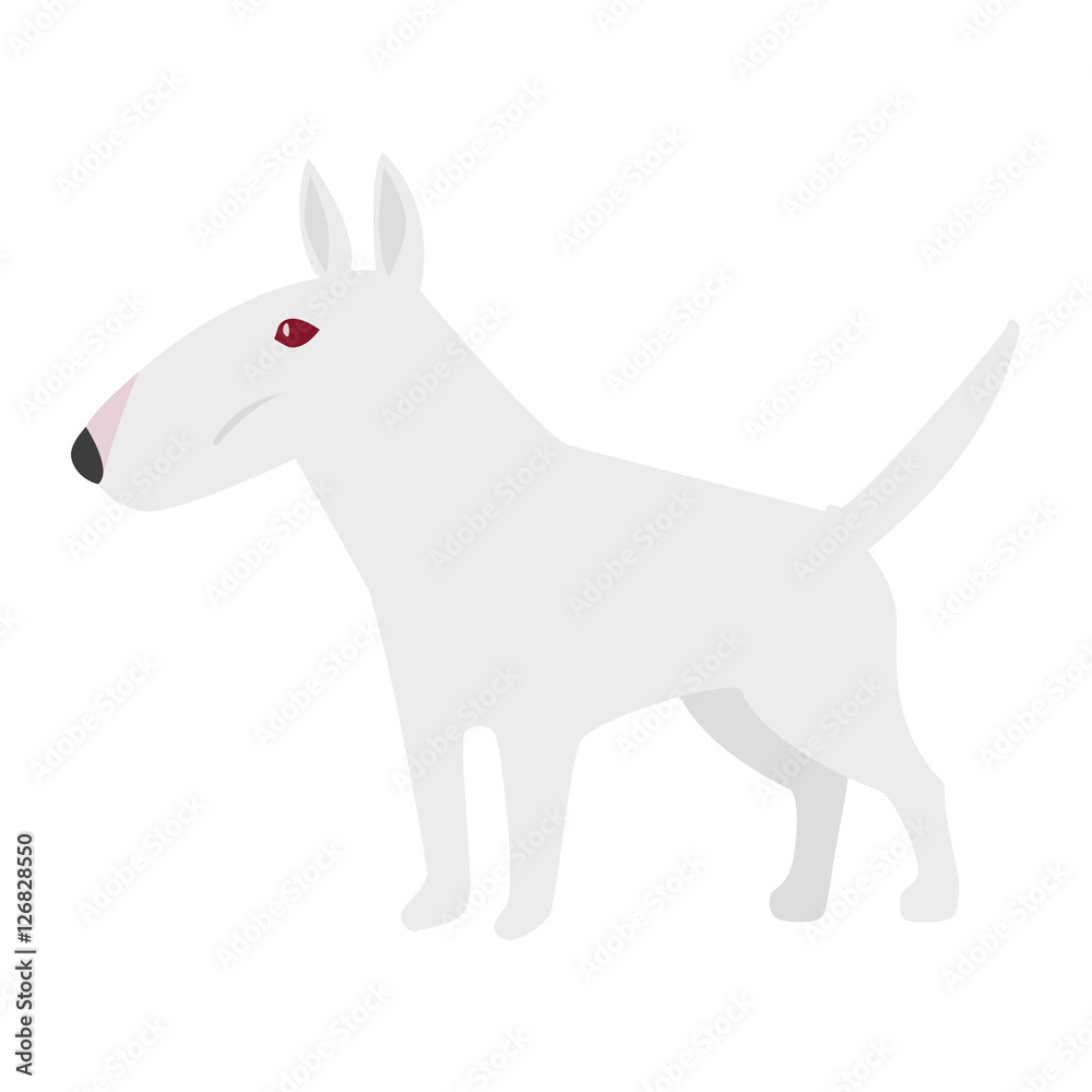 White pure bred bull terrier with red eyes / flat editable vector illustration, clip art