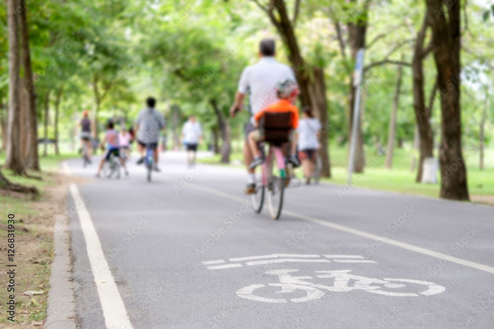 Bicycle lane in a park.